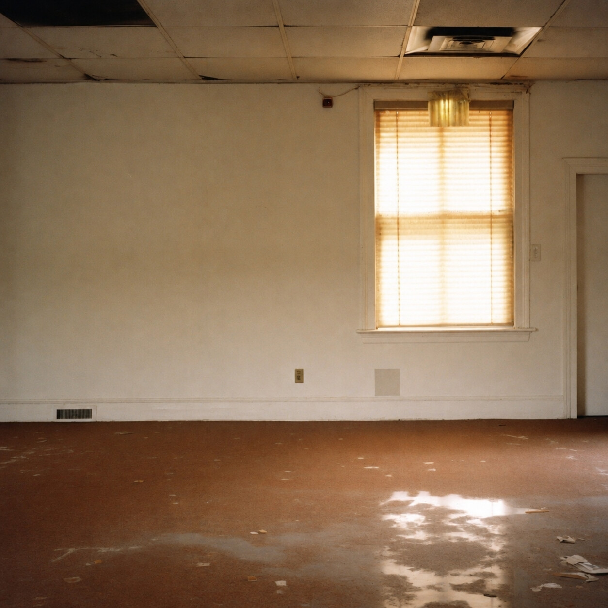 Vacant room with worn carpet, damaged ceiling tiles, and sunlight entering through a window